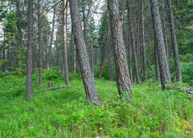Property at NHN Black Point Rd, Polson, MT 59860