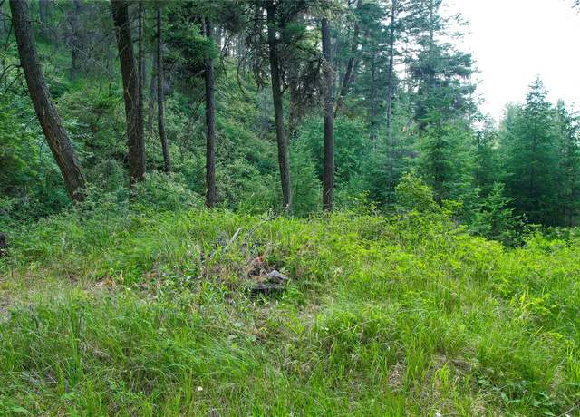 Property at NHN Black Point Rd, Polson, MT 59860