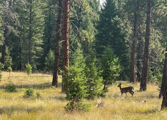 Property at NHN Hwy 37, Libby, MT 59923