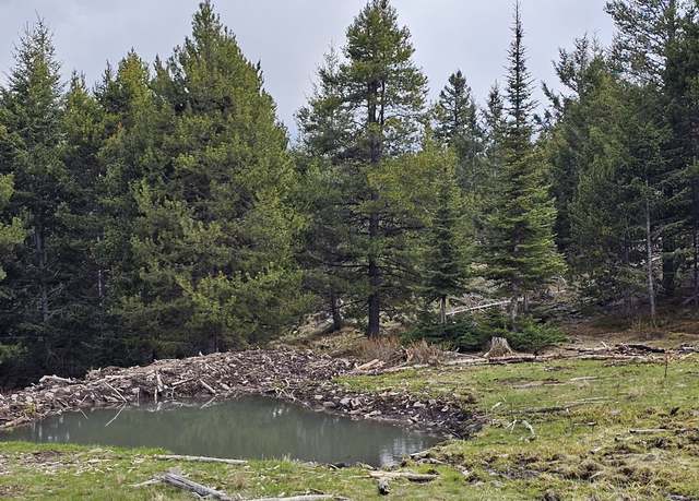 Property at 10 Tract, Garnet Range, Drummond, MT 59832