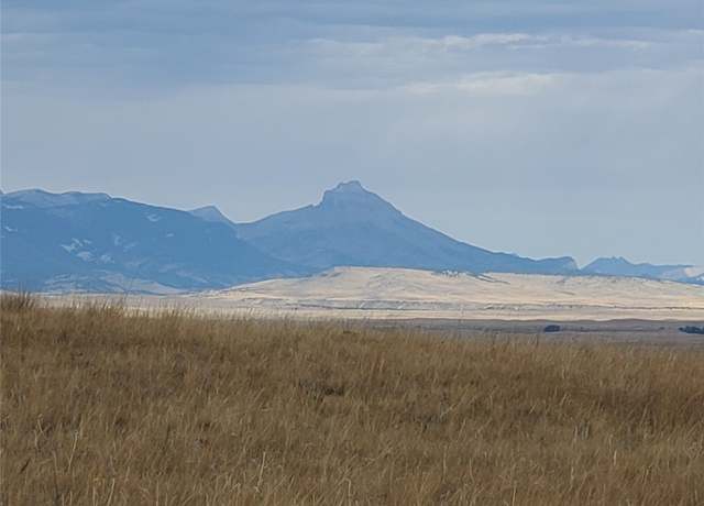 Property at NHN N Tamarack Dr, Augusta, MT 59410