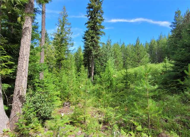 Property at 386 Seahawks Dr, Troy, MT 59935