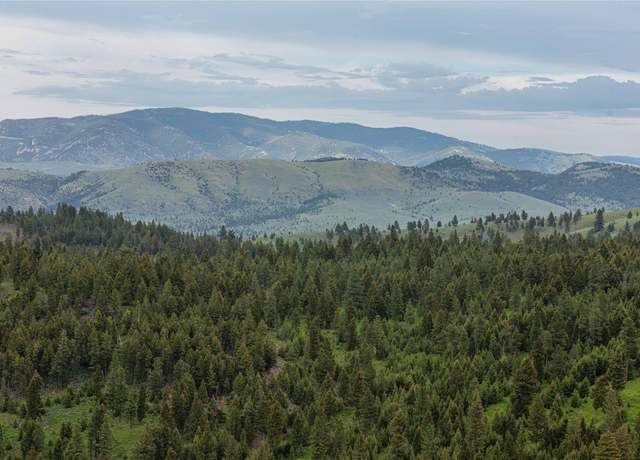 Property at 2 Bull Elk Tract, Drummond, MT 59832