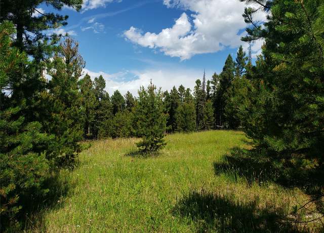 Property at Lot 98 Foxwood Rd, Helmville, MT 59843