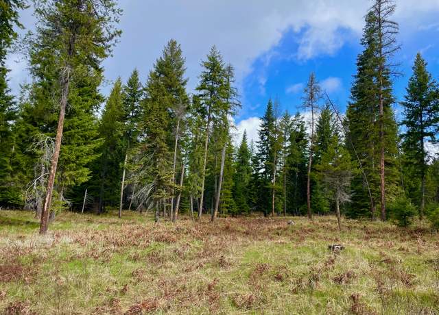 Property at Nhn Big Fir Dr, Thompson Falls, MT 59873