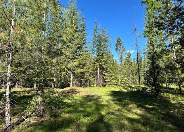 Property at Nhn Little Beaver Creek Rd, Trout Creek, MT 59874
