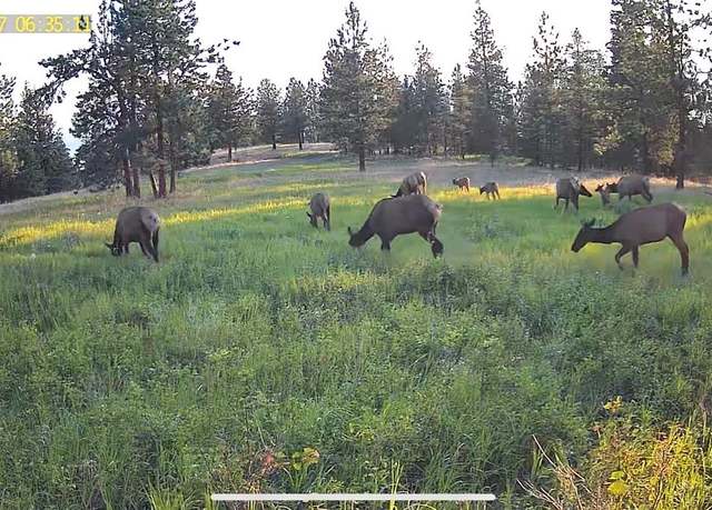 Property at 2434 Morning Dun Road - Lot 2 Rd, Missoula, MT 59804