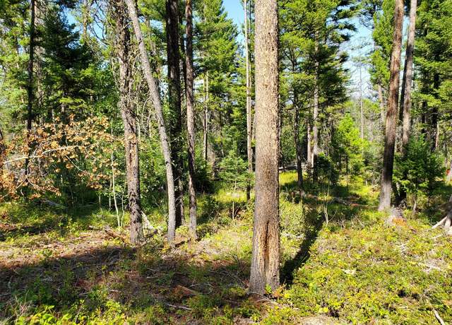 Property at TBD Bear Gulch, Lincoln, MT 59639