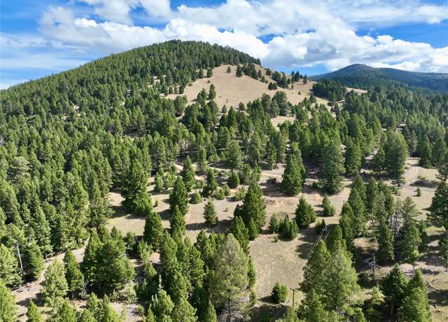 Property at TBD Scranton Lode Lot 3 MS 3667 Rd, Philipsburg, MT 59858