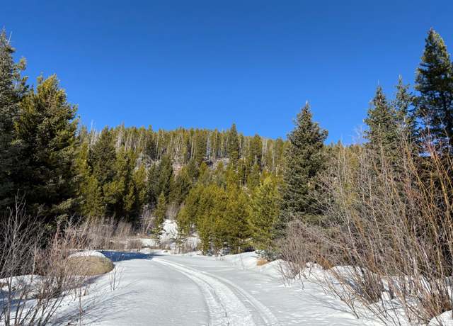 Property at 121 S Granite Rd, Philipsburg, MT 59858