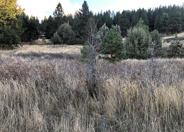 Property at 1504 15th Ave E, Polson, MT 59860