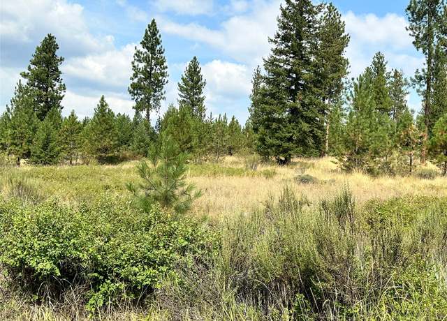 Property at 39 Bighorn Bluff Loop, Plains, MT 59859