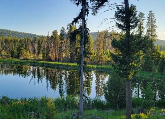 Property at 281 Daisy Ln, Seeley Lake, MT 59868