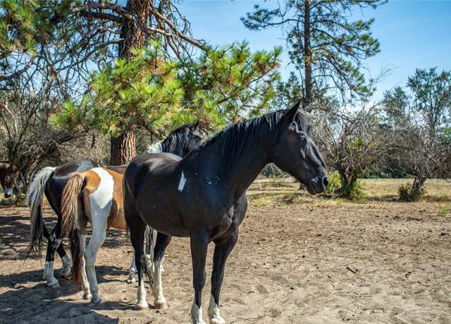 Property at Unk Hamel Rd, Frenchtown, MT 59834