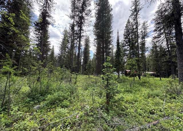 Property at 768 Deep Woods Trl, Polebridge, MT 59928