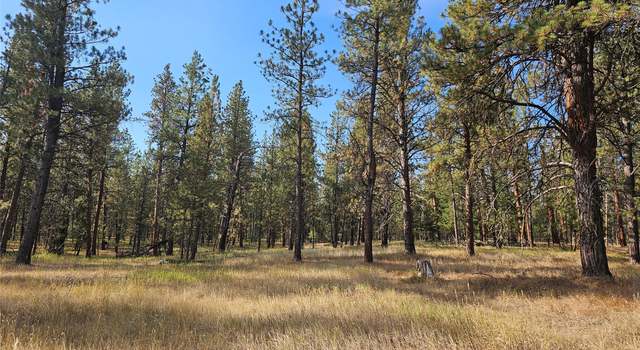Photo of NHN Big Appy Trl, MT 59823