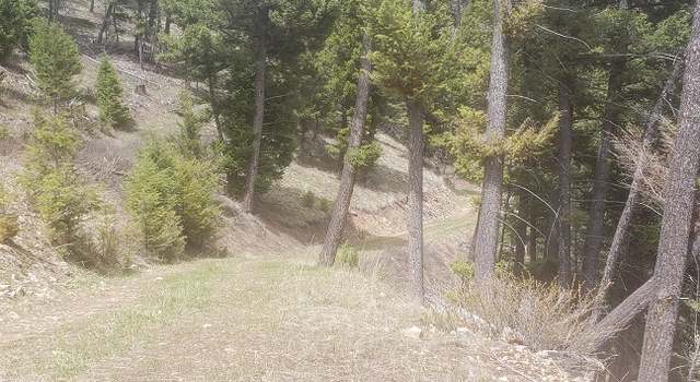 Photo of NHN Wyman Gulch Rd, Philipsburg, MT 59858