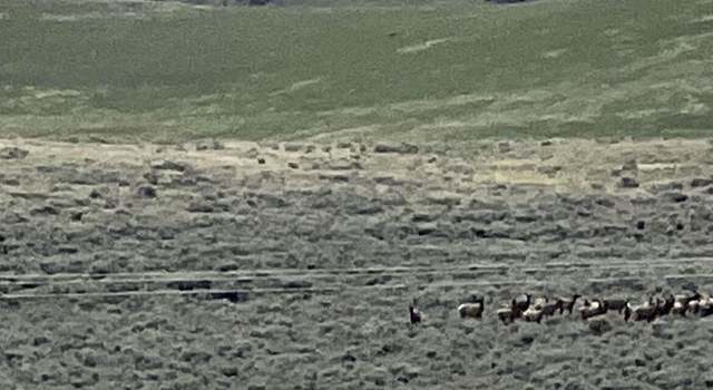 Photo of Nhn Garcon Gulch Rd, Hot Springs, MT 59845