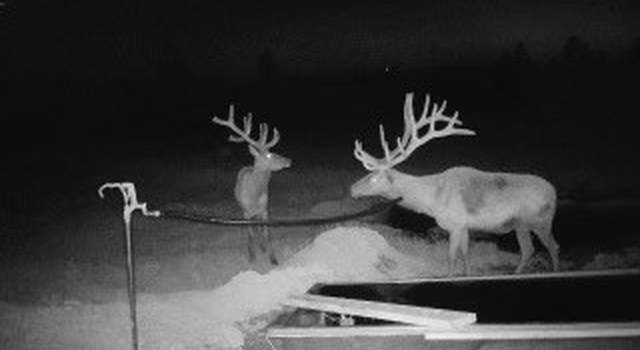 Photo of TBD W Parrott Creek Rd, Roundup, MT 59072