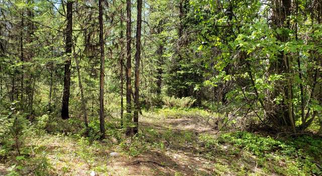 Photo of NHN Butcher Creek Rd, Trego, MT 59934