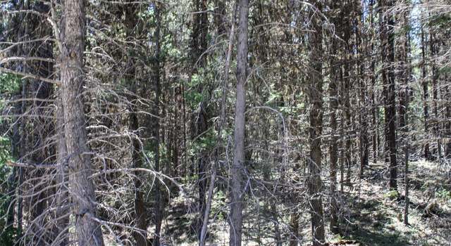 Photo of 2215 Pleasant Valley Rd, Marion, MT 59925