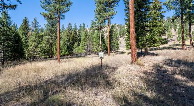 Photo of Lot 19 Caddisfly Ct, Clinton, MT 59825