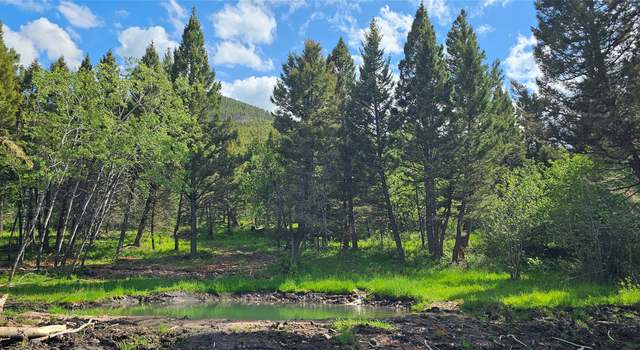 Photo of TBD Hall Creek Tract, Helmville, MT 59843