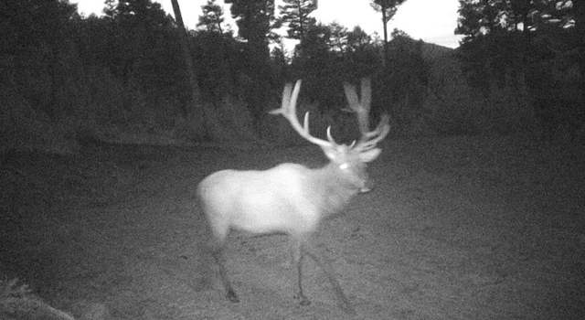 Photo of 3694 Moffet Gulch, Melrose, MT 59743