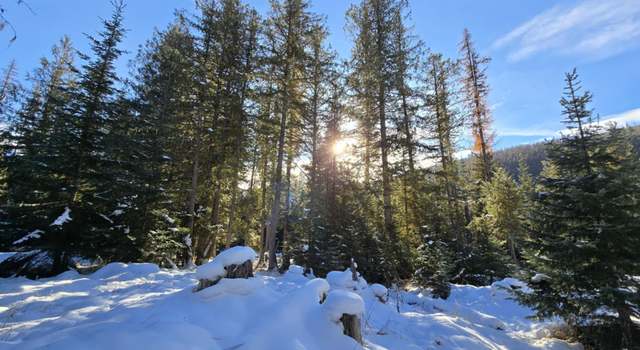 Photo of 226 Cedars Dr, Yaak, MT 59935