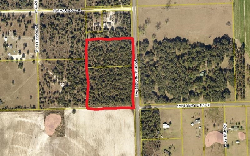 SW Tustenuggee Ave Fort White - 116313 0