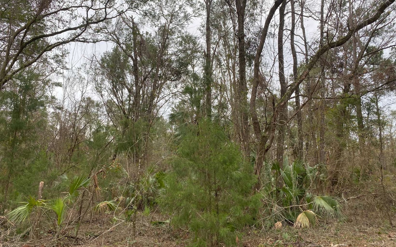 114th St, Dowling Park, FL 32060 MLS 122345 Redfin