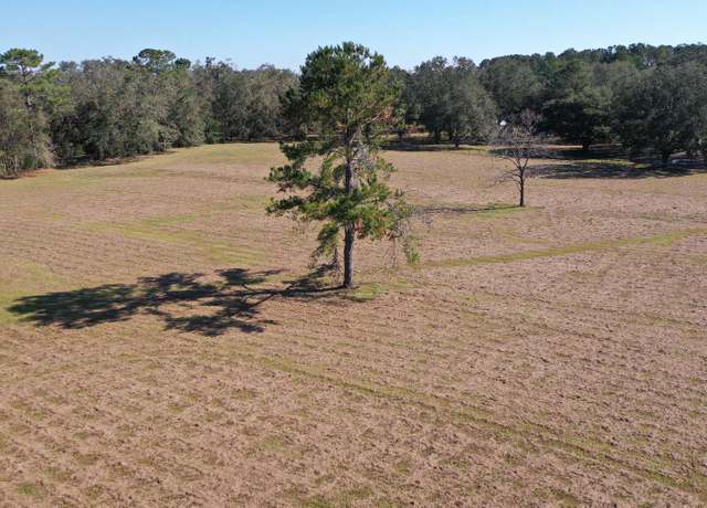 Property at 160th Ter, Mcalpin, FL 32062