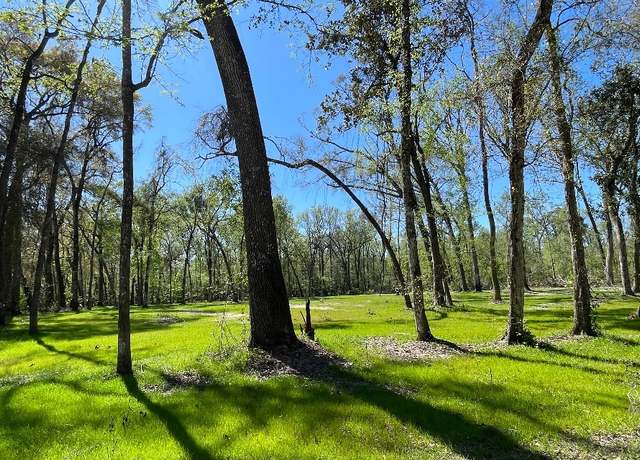 Property at 158 SW Bumble, Fort White, FL 32038