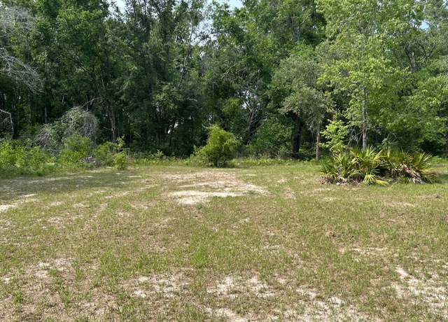 Property at TBD 206th Ter, Lake City, FL 32024