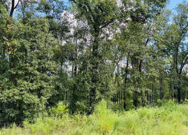 Property at LOT54 NW 29th Pl, Jennings, FL 32053