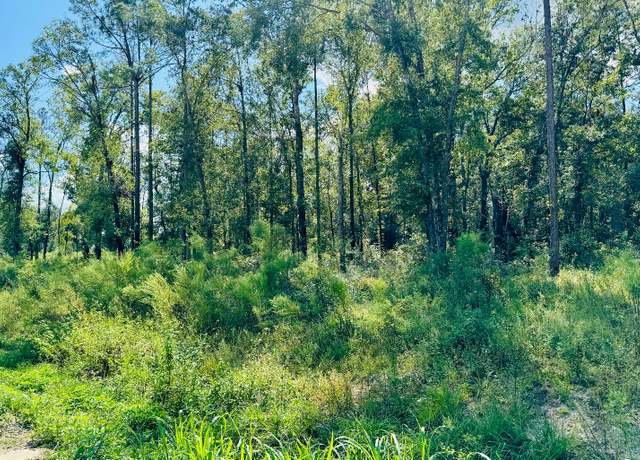 Property at LOT54 NW 29th Pl, Jennings, FL 32053