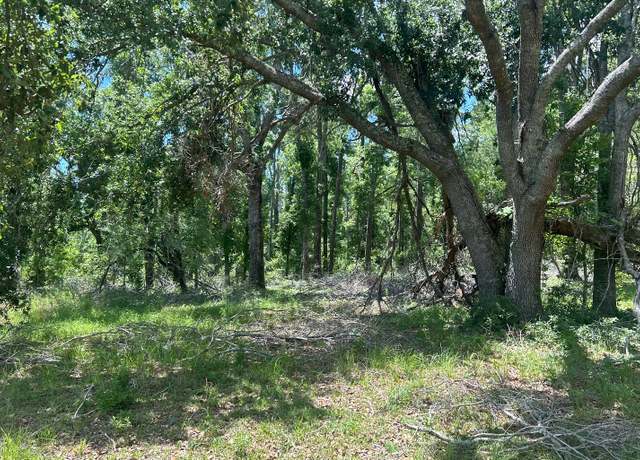 Property at 00000 River Rd, Live Oak, FL 32060