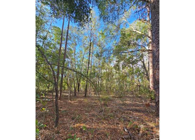 Property at TBD 188th Pl, Live Oak, FL 32060