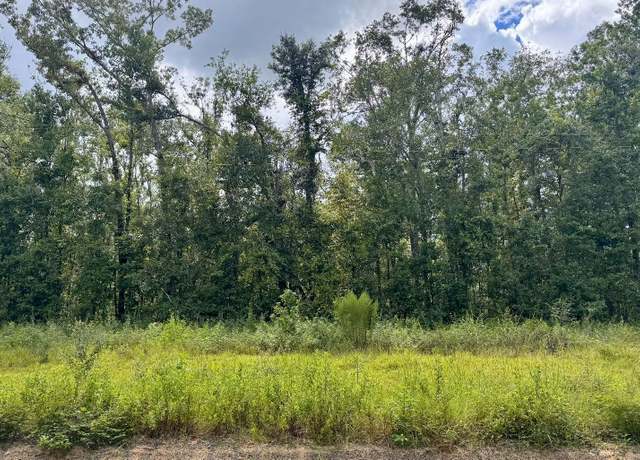 Property at LOT40 NW Blue Oak Ln, Jennings, FL 32053