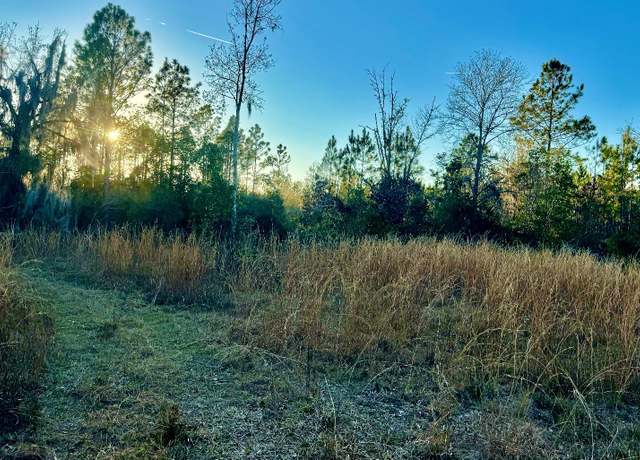 Property at VAC NE Campbell Rd, Chiefland, FL 32621