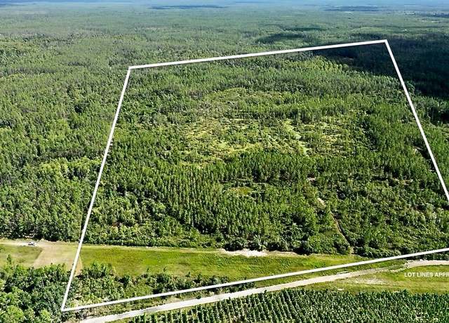 Property at 123 NW County Road 348, Mayo, FL 32066