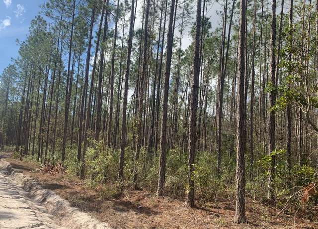 Property at TDB NE 25th Dr, Jasper, FL 32052