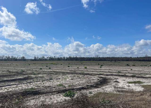Property at 15 AC SW Cr 351, Mayo, FL 32066