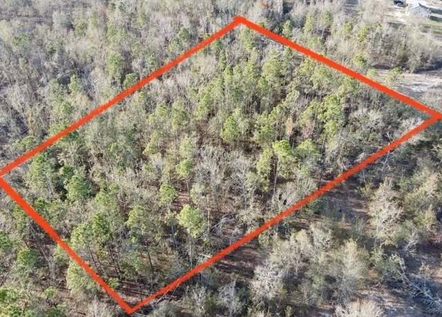 Property at NE Cedar Trl, Pinetta, FL 32350