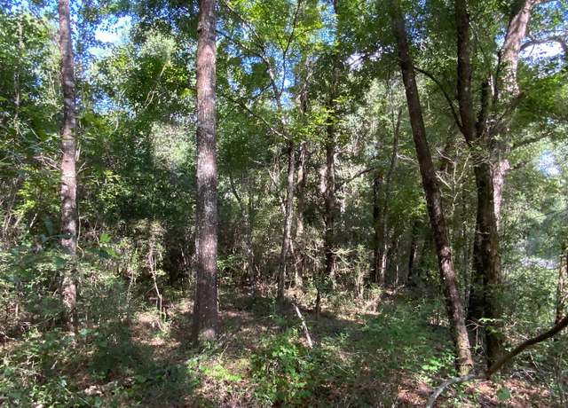 Property at LOT18 Cr 349, Live Oak, FL 32060