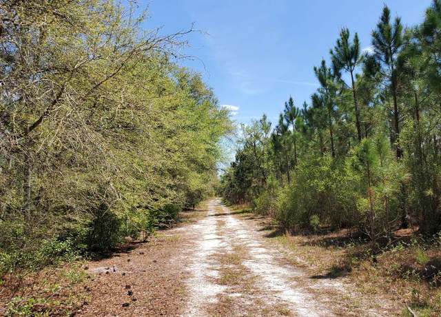 Property at Mad 18 And Camp P Rd, Lee, FL 32340