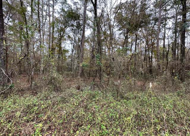 Property at TBD 177th Road Lot 30, Live Oak, FL 32060