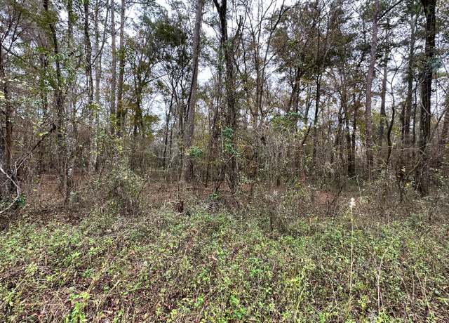 Property at TBD 12th Terrace Lot 3, Live Oak, FL 32060