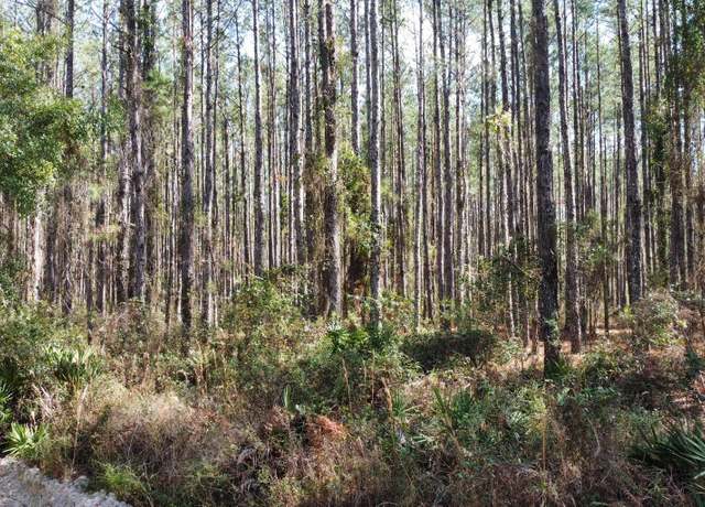Property at TBD NE 22nd Ln, FL 32640