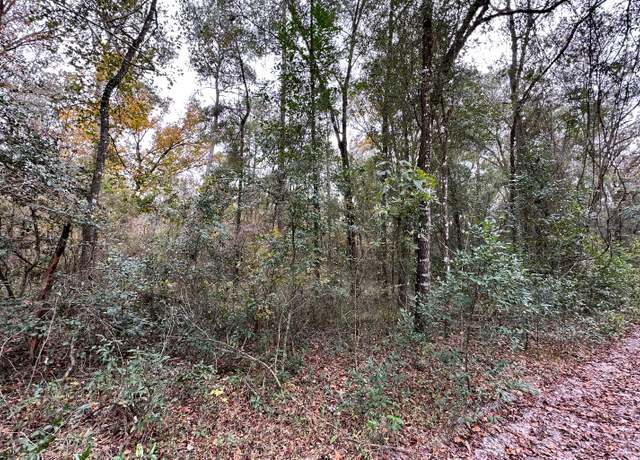 Property at TBD 14th Street Lot 9, Live Oak, FL 32060
